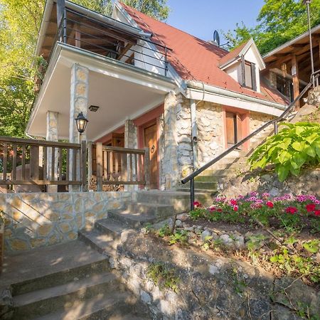 Vila Dunjarica Golubăţ Exterior foto